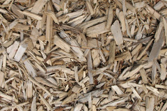 biomass boilers Long Sandall